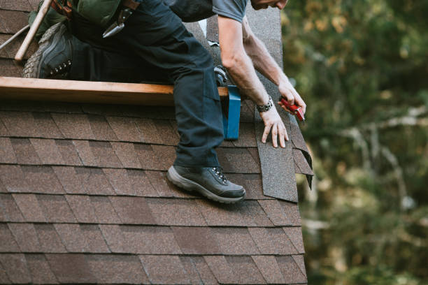 Best Metal Roofing Contractor  in USA